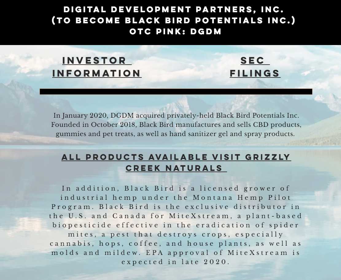 Digital Development Partners, Inc. (OTC PINK: DGDM) Investor Information and SEC Filings