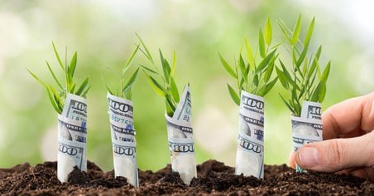 It's been a cold year for most "Big Green" cultivator stocks