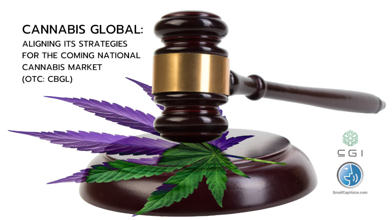 a judges gavel with a marijuana leaf on it - smallcapvoice