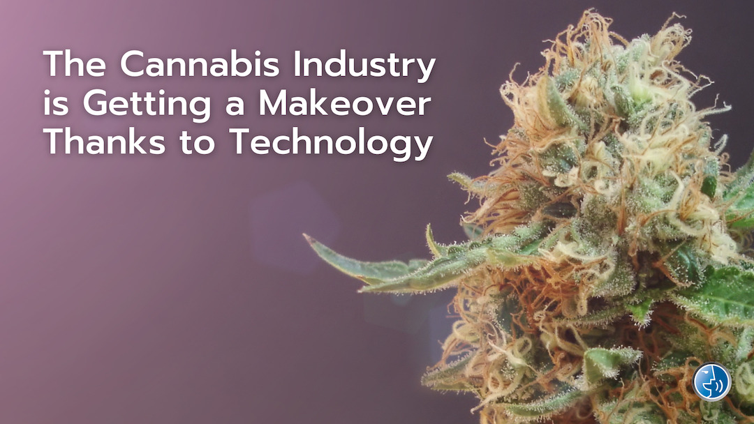 The Cannabis Industry is Getting a Makeover Thanks to Technology